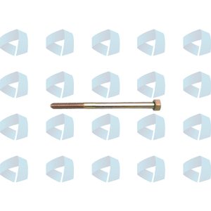 Tornillo para filtro - Tipo Delphi