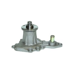 Bomba de agua SIL SALERI