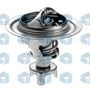 Termostato Nissan