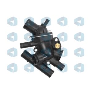 Termostato Renault R19 Dti