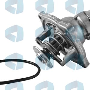Termostato BMW
