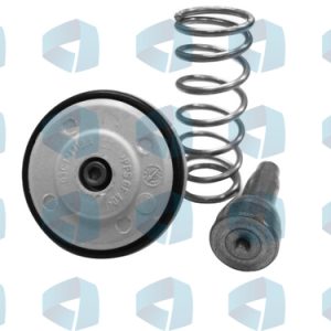 Termostato Audi - Seat - Skoda - Volkswagen