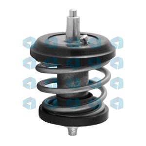 Termostato Audi