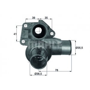 Termostato Fiat