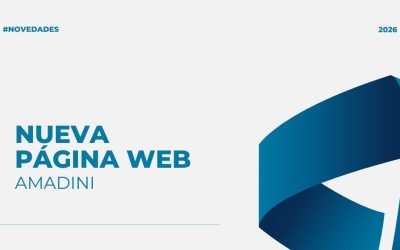 Nueva página web Amadini