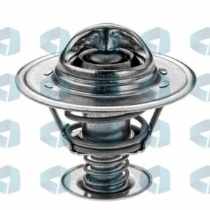 Termostato Nissan