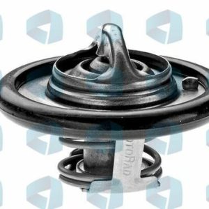 Termostato Ford