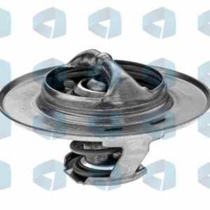 Termostato Ford