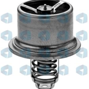 Termostato Bmw