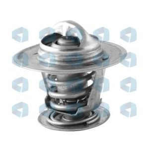 Termostato Audi