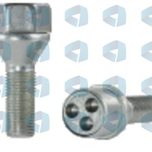 Tornillos antirrobo cónicoss Amadini modelo I1
