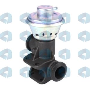 Válvula EGR para Citroen - Fiat