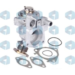 Válvula EGR para Citroen - Fiat - Iveco